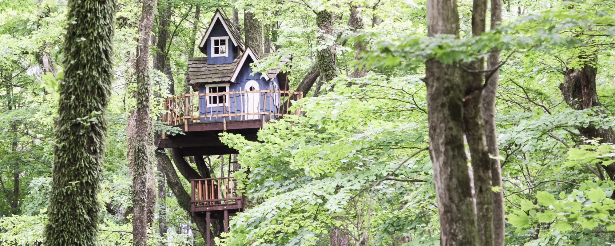 treehouse2